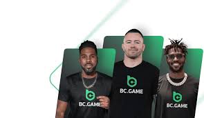 Unlock Your Wins with BC.Game Bonus Codes A Complete Guide