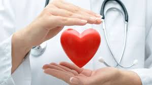 Vormex Účinný Prostriedok na Odstránenie Parazitov Vormex Účinný Prostriedok na Odstránenie Parazitov